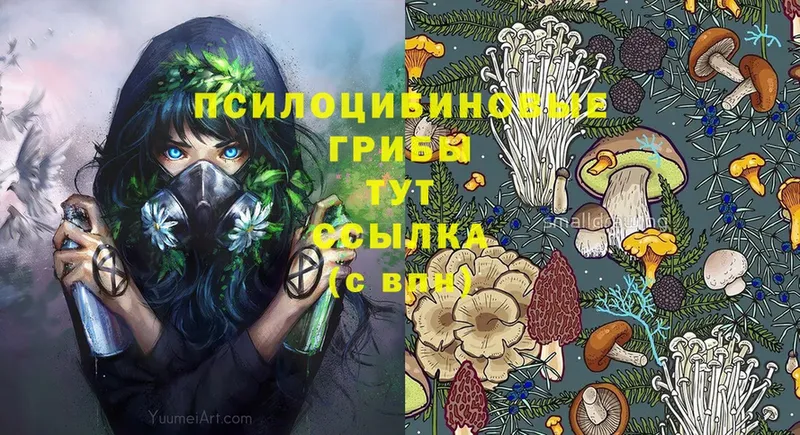 Галлюциногенные грибы Magic Shrooms  Буинск 